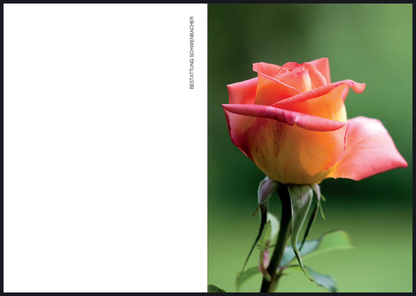 Sterbebild:  Luciana Erica Alber