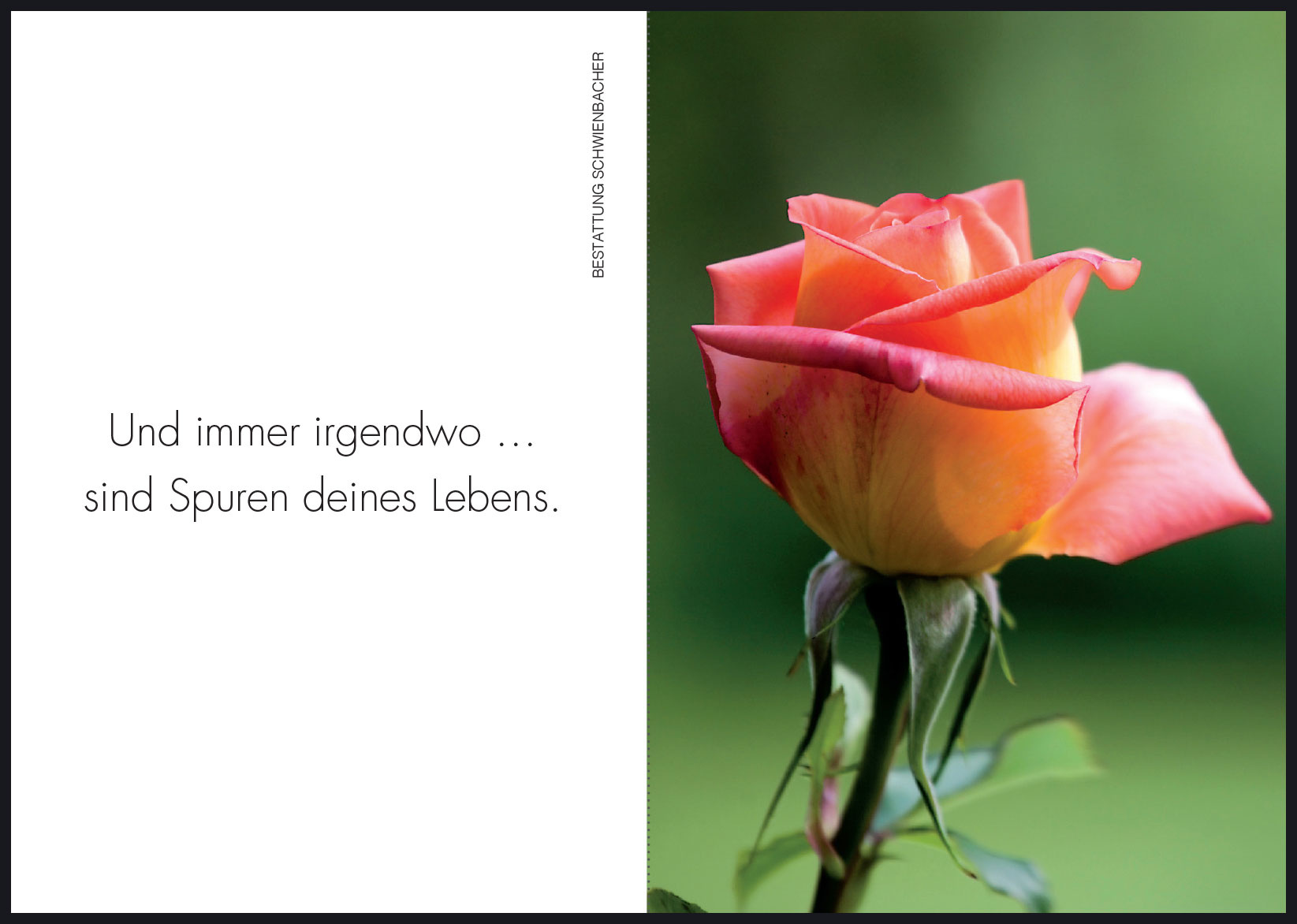 Sterbebild: Maria Koppelstätter geb. Bertolini