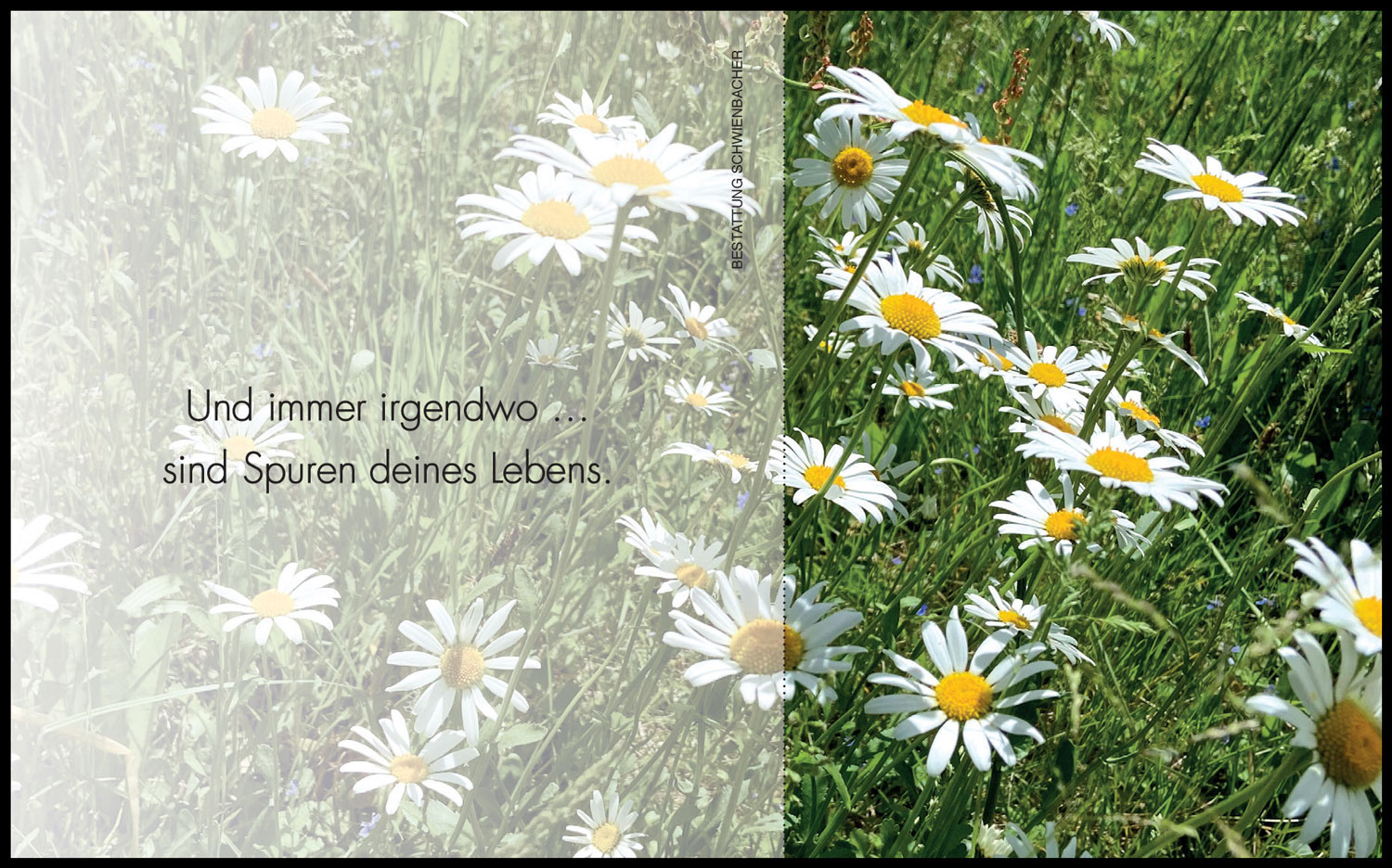 Sterbebild: Paula Wwe. Menz geb. Schmidt