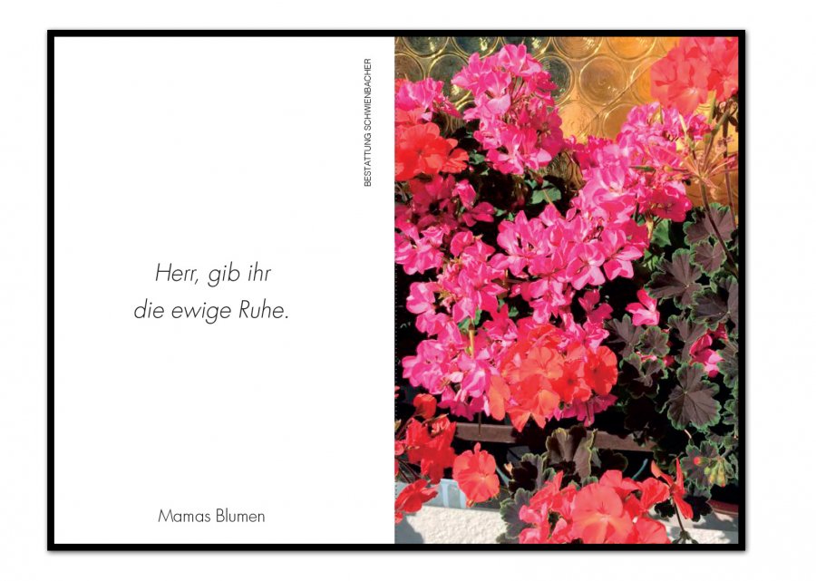 Sterbebild: Josefine Wwe. Alber geb. Stocker