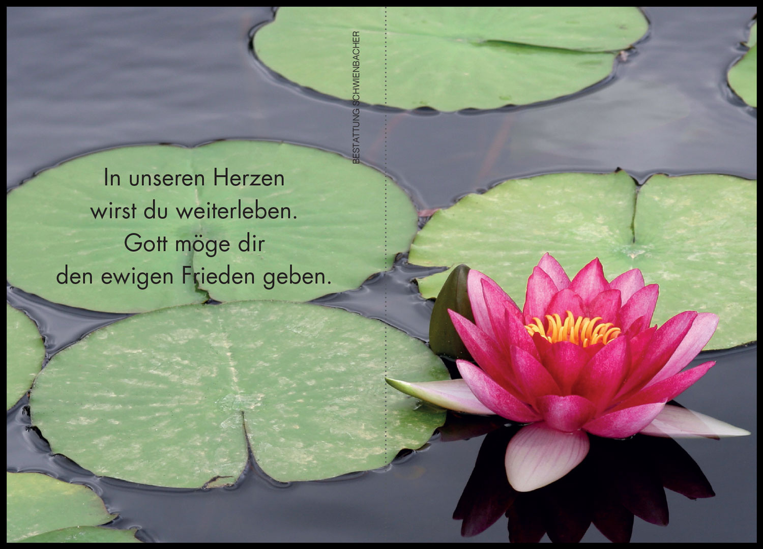 Sterbebild: Maria Wwe. Kritzinger geb. Andersag