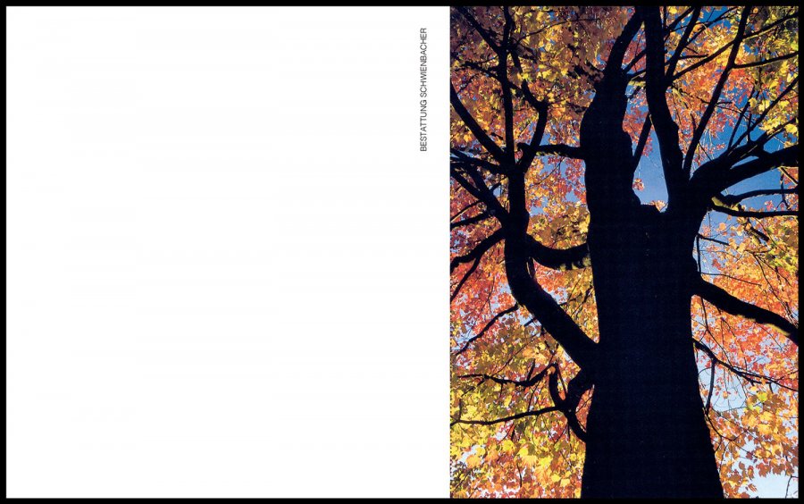 Sterbebild: Heidi Wwe. Haller geb. Scherer