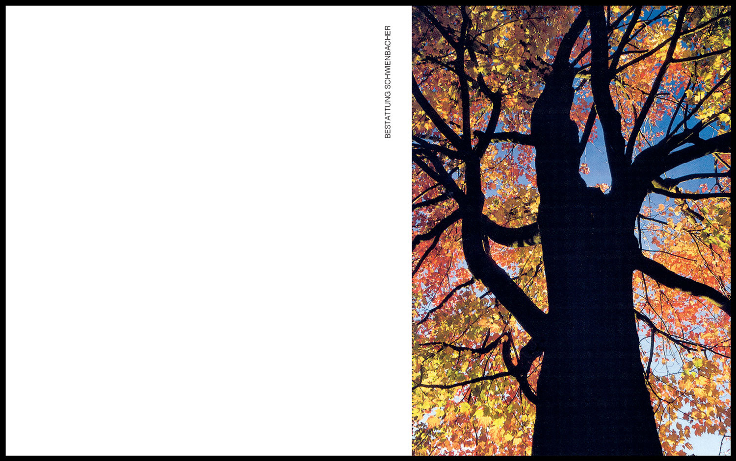 Sterbebild: Heidi Wwe. Haller geb. Scherer