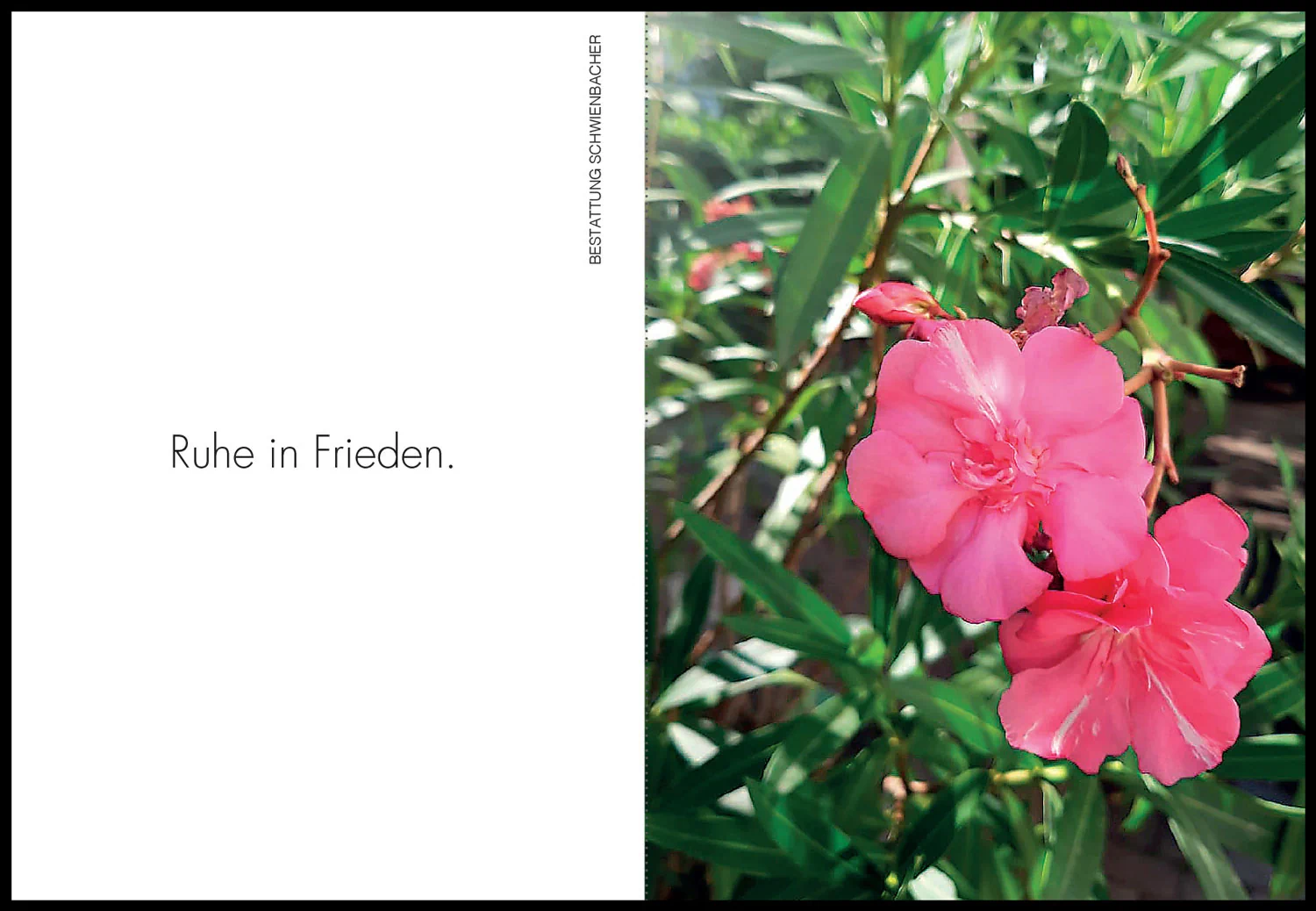 Sterbebild: Alois Josef Rauter