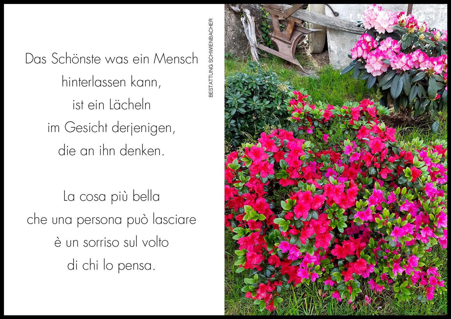 Sterbebild: Beniamino Bortolameolli