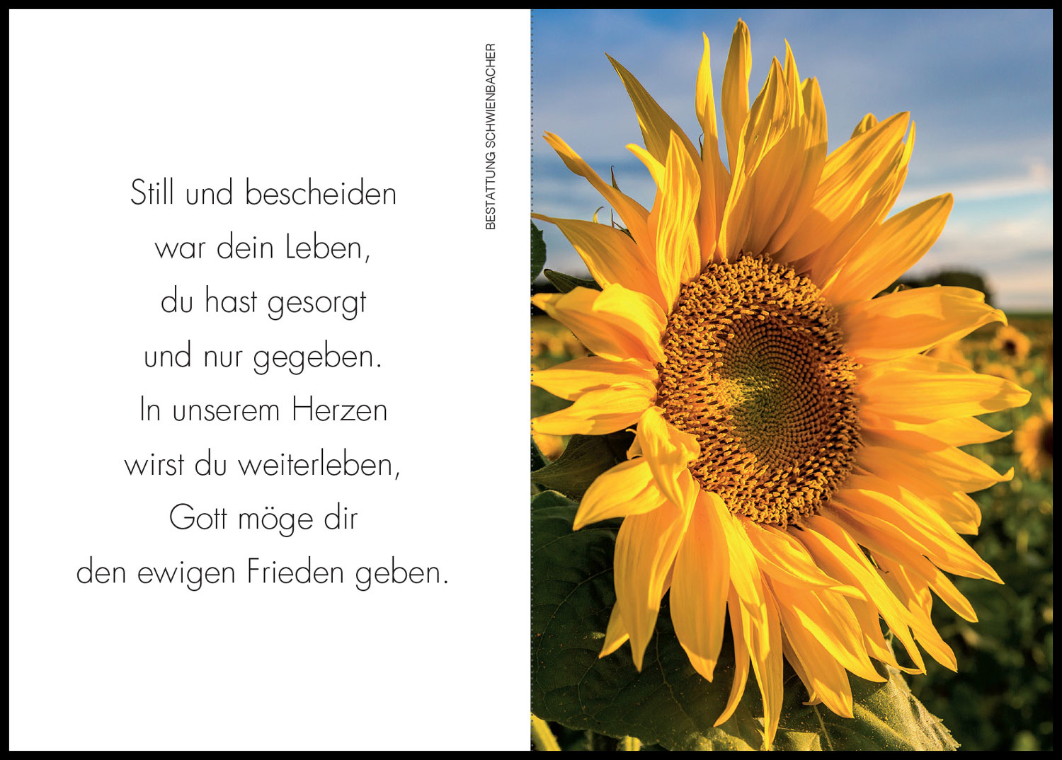 Sterbebild: Cecilia Caterina Wwe. Werth geb. Weber