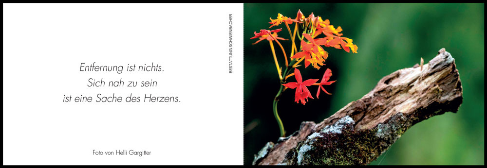 Sterbebild: Berta Wwe. Margesin geb. Ohrwalder