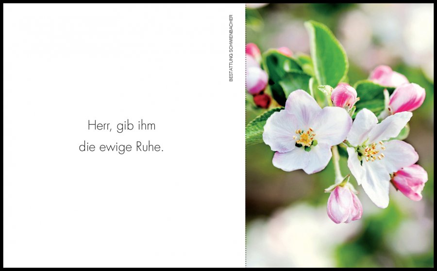 Sterbebild: Johann Visintainer