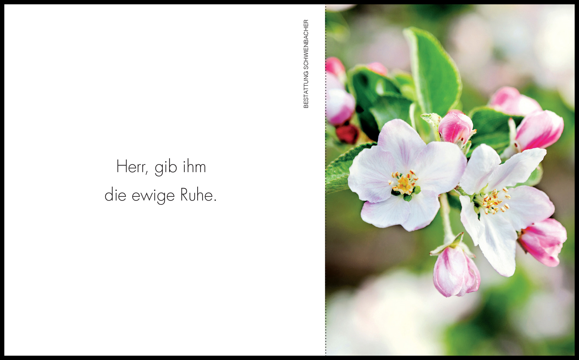 Sterbebild: Johann Visintainer