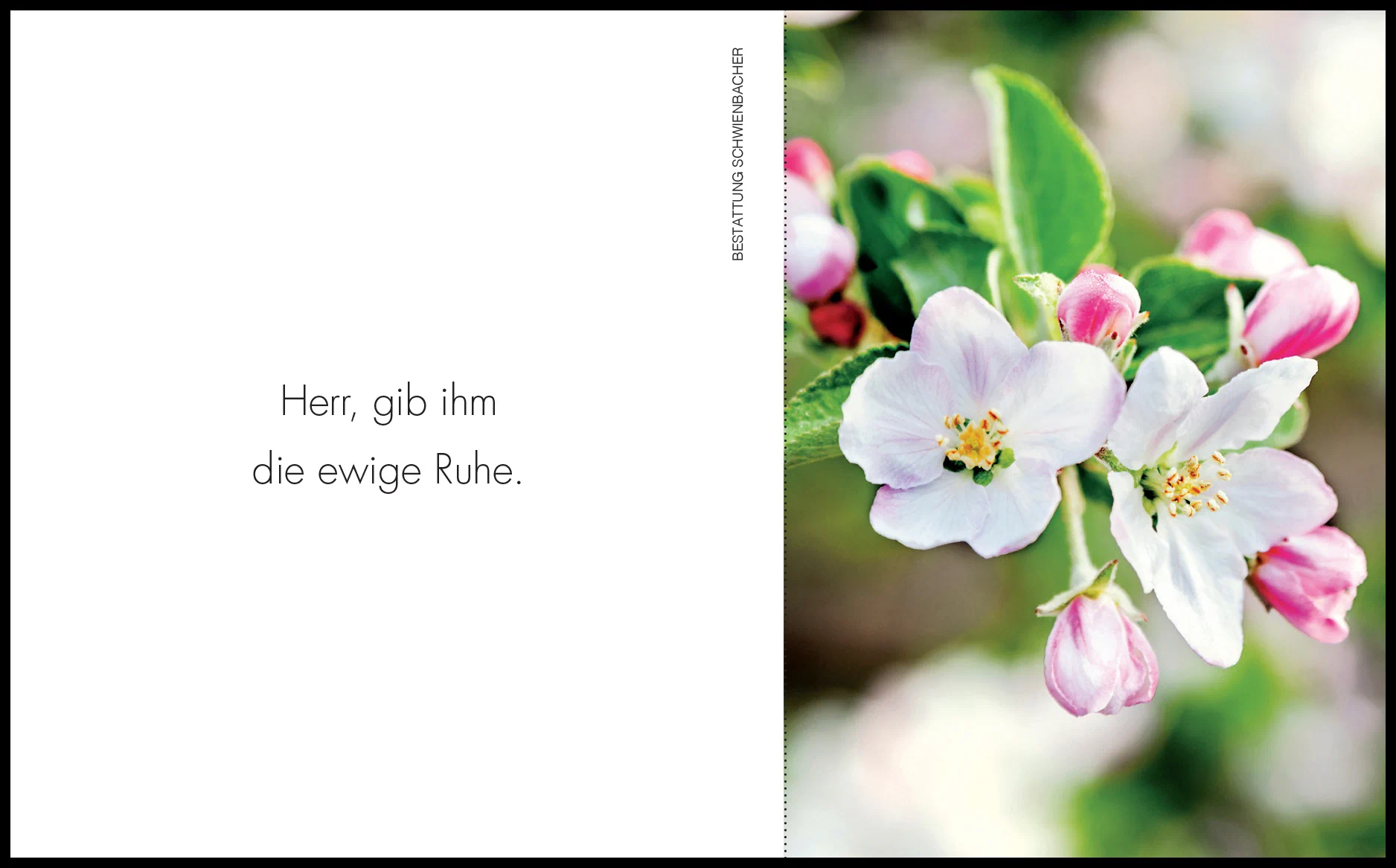 Sterbebild: Johann Visintainer