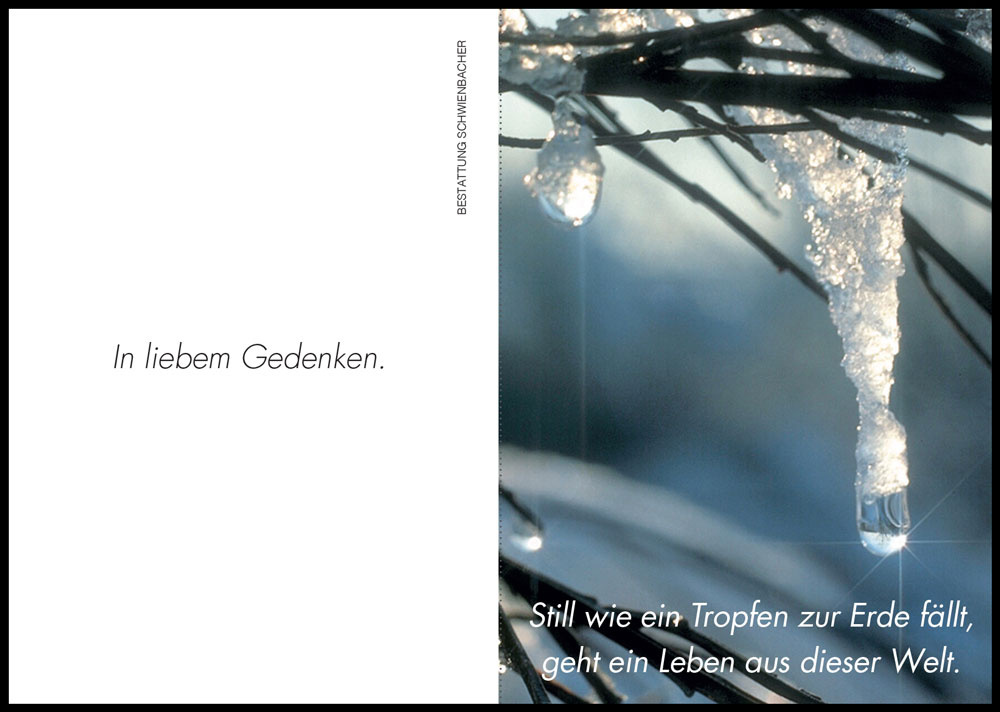 Sterbebild: Maria Wwe. Stricker geb. Tarneller