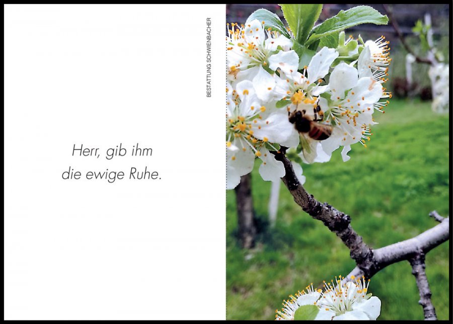 Sterbebild: Anton Johann Larch