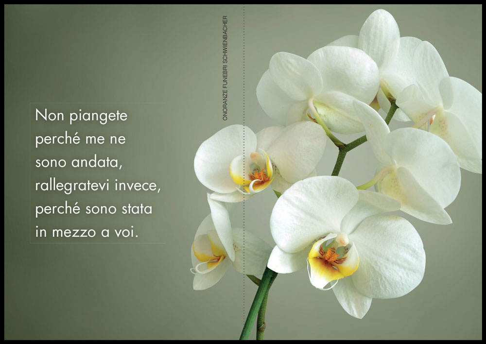 Sterbebild: Antonietta Ciprian ved. Tais