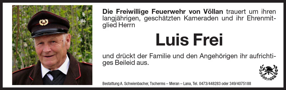 Medien: Luis Frei