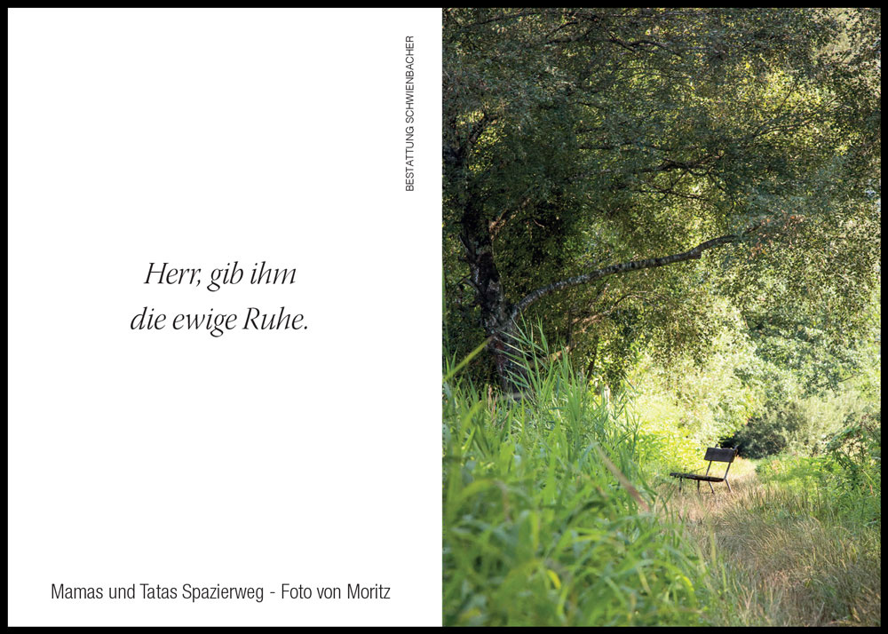 Sterbebild: Luis Walzl