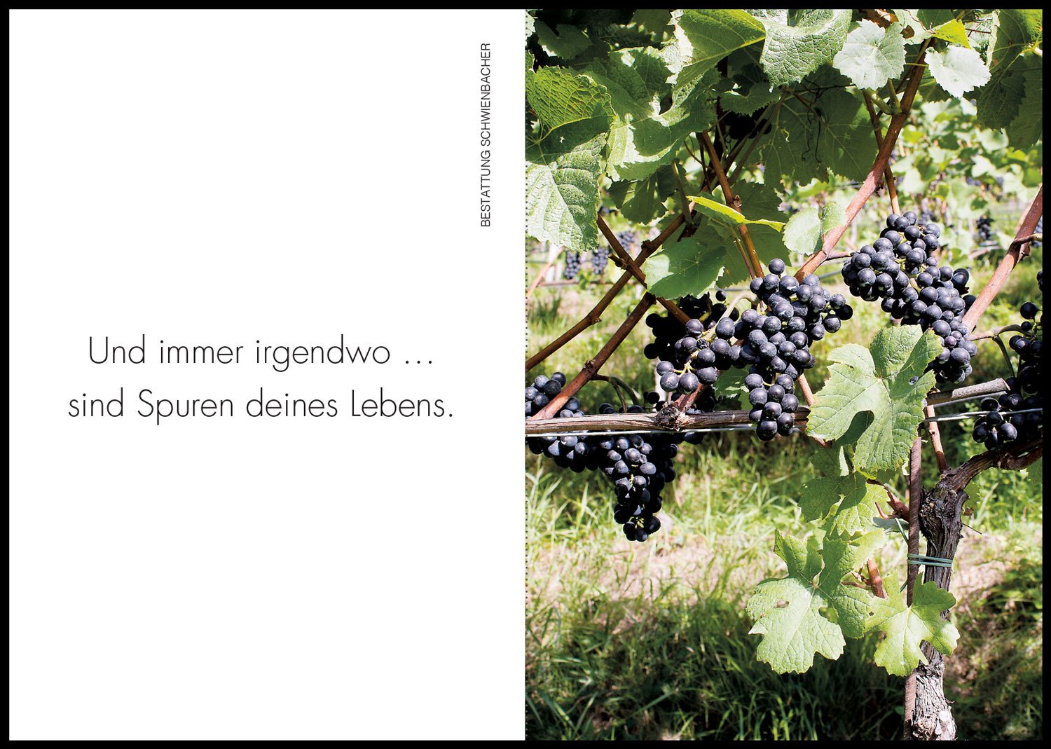 Sterbebild: Wolf Hilbring