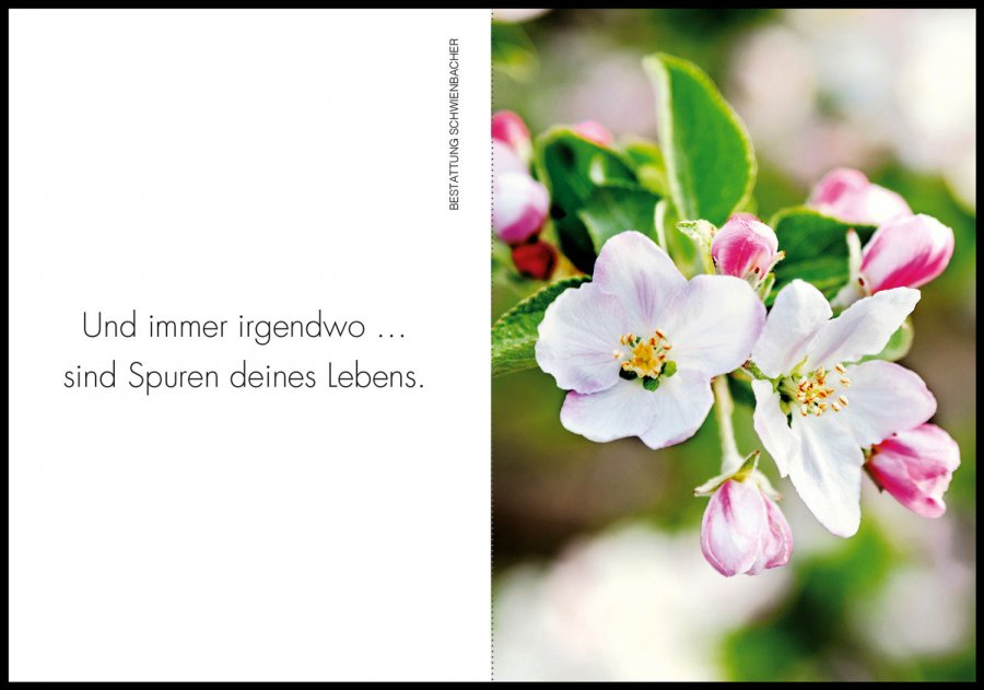 Sterbebild: Josef Tribus