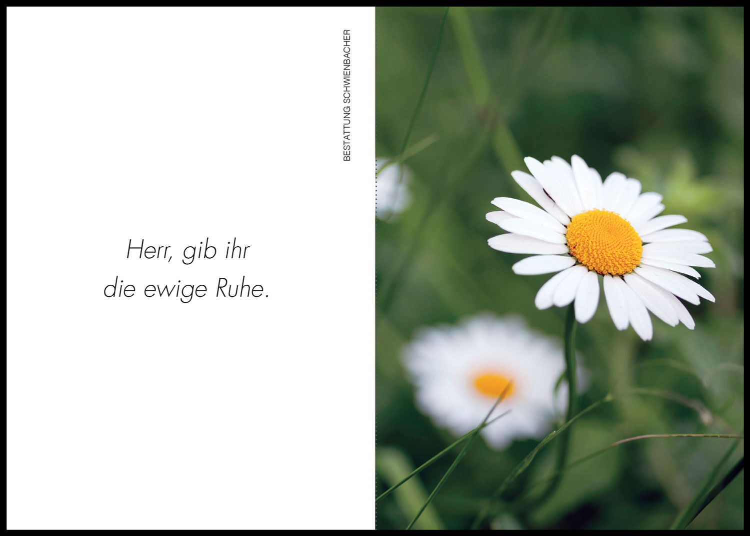 Sterbebild: Franziska Calliari