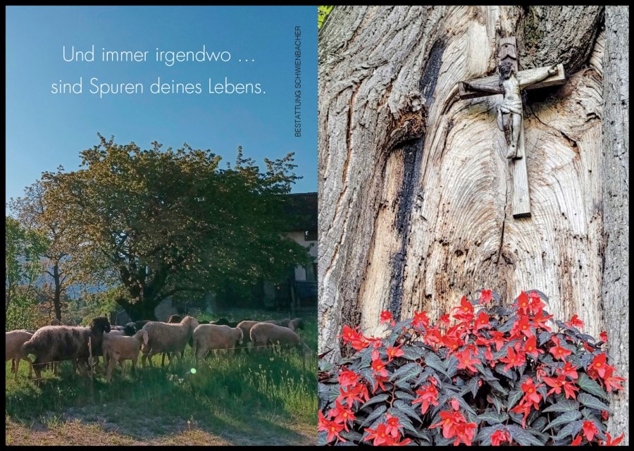 Sterbebild: Karl Brunner