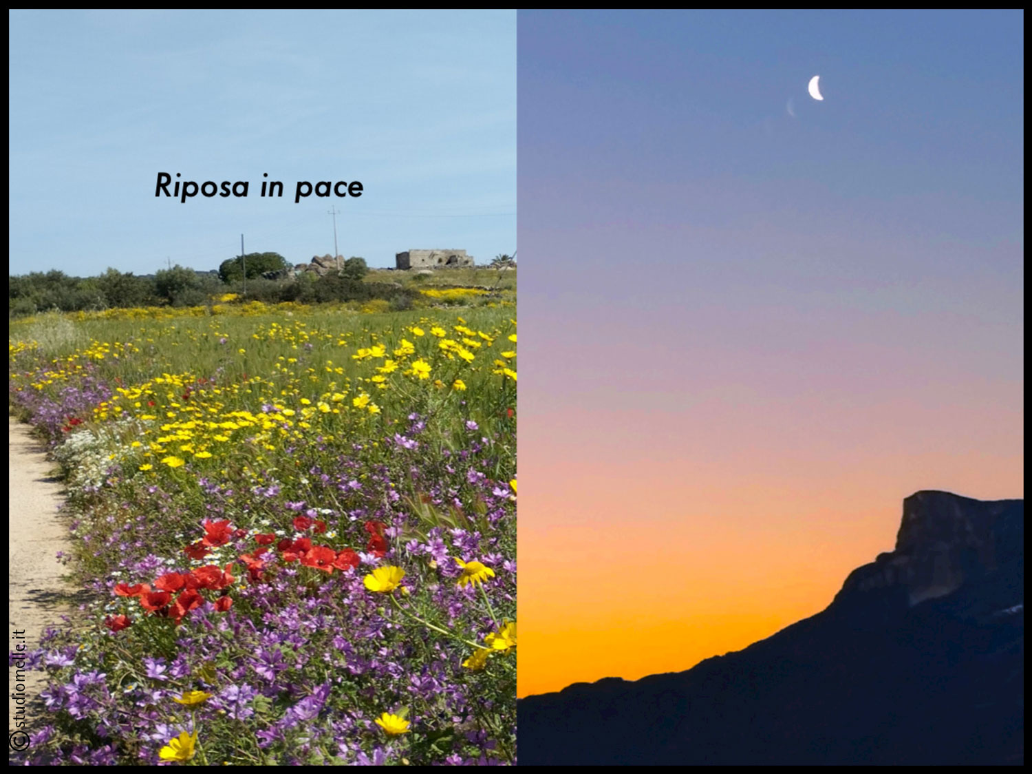 Sterbebild: Dott. Cosimo Cataldo Melle