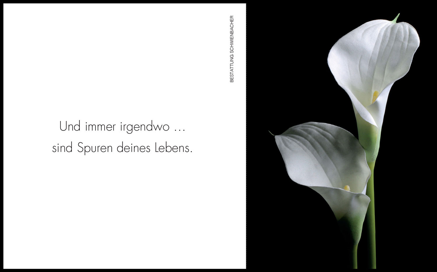 Sterbebild: Frieda Wwe. Breitenberger geb. Parth