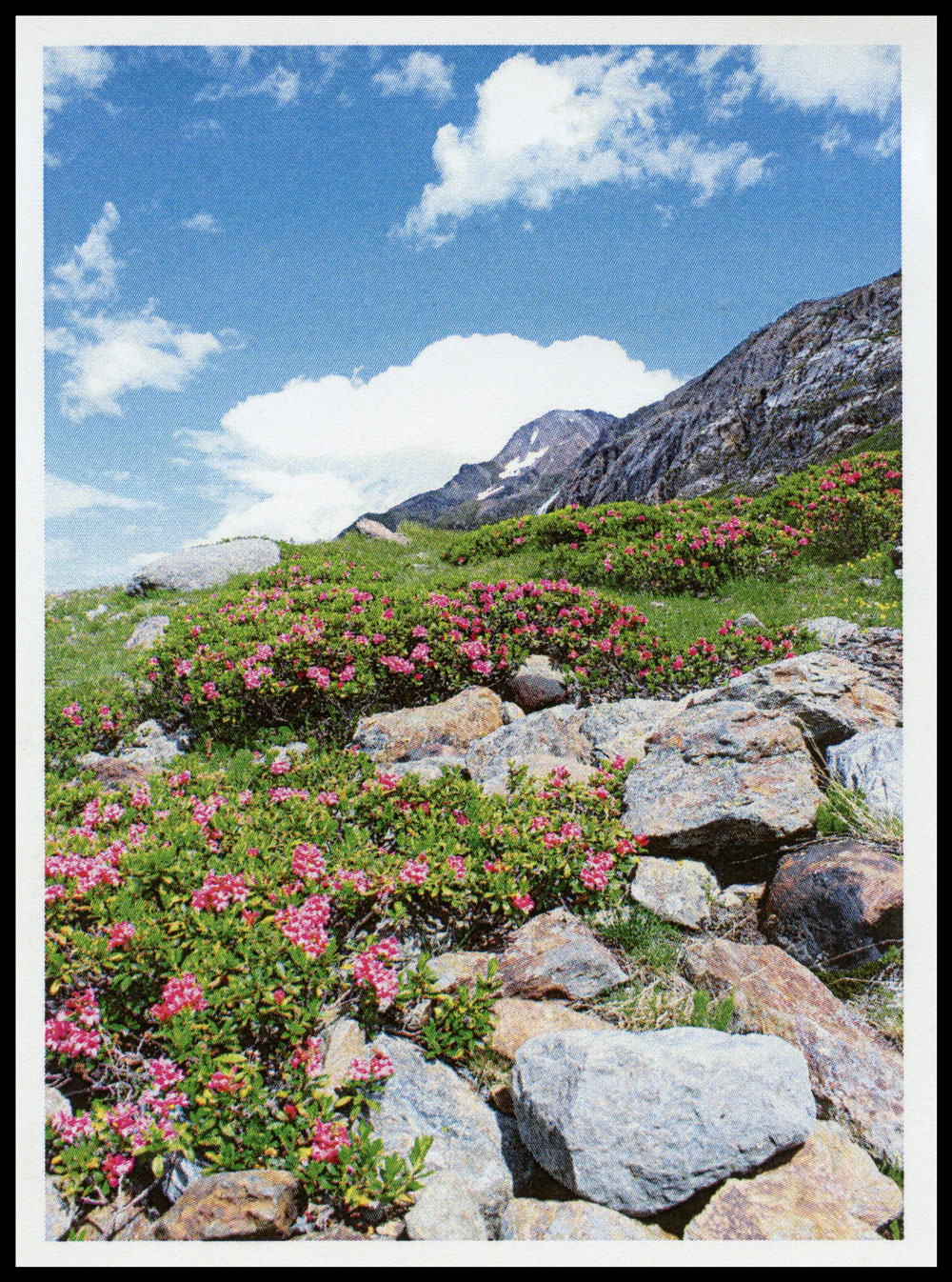 Sterbebild: Karl Tschöll