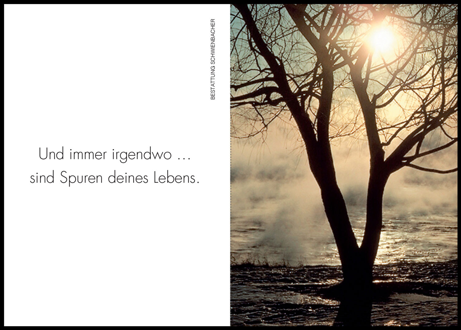 Sterbebild: Luis Parth