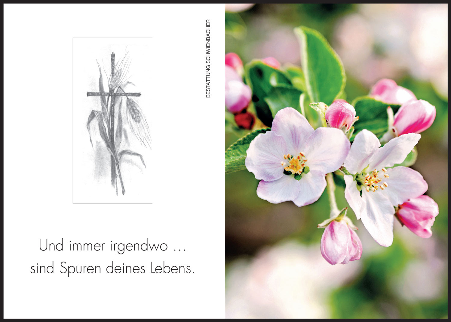 Sterbebild: Christine Wwe. Lunger geb. Grabmayr von Angerheim