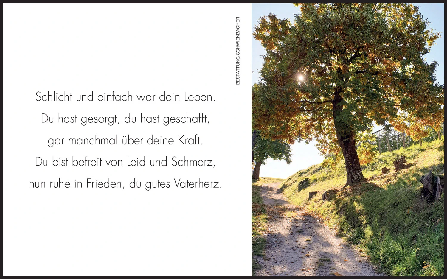 Sterbebild: Johann Josef Raffl