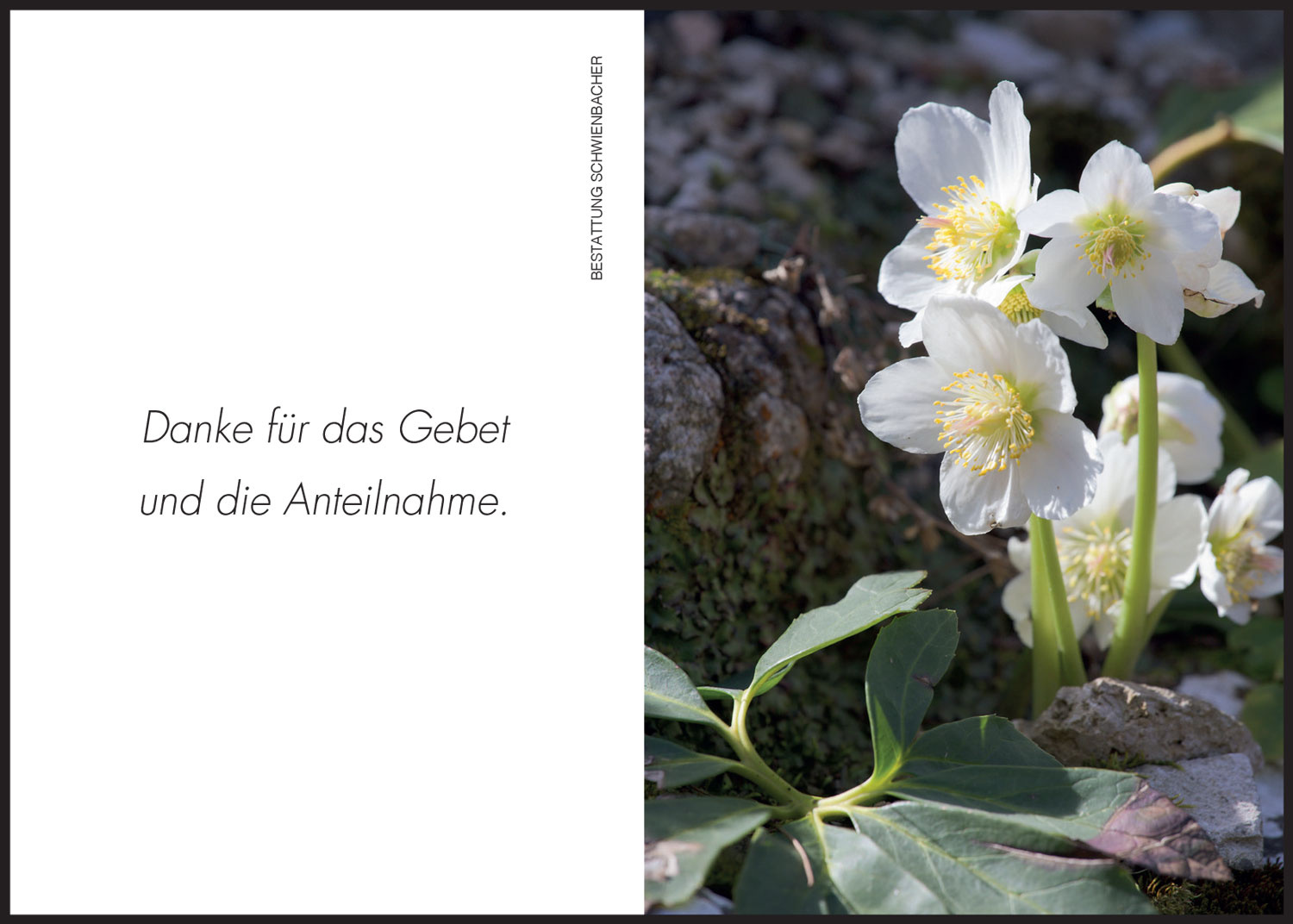 Sterbebild: Elisabeth Wwe. Ganthaler geb. Schrott