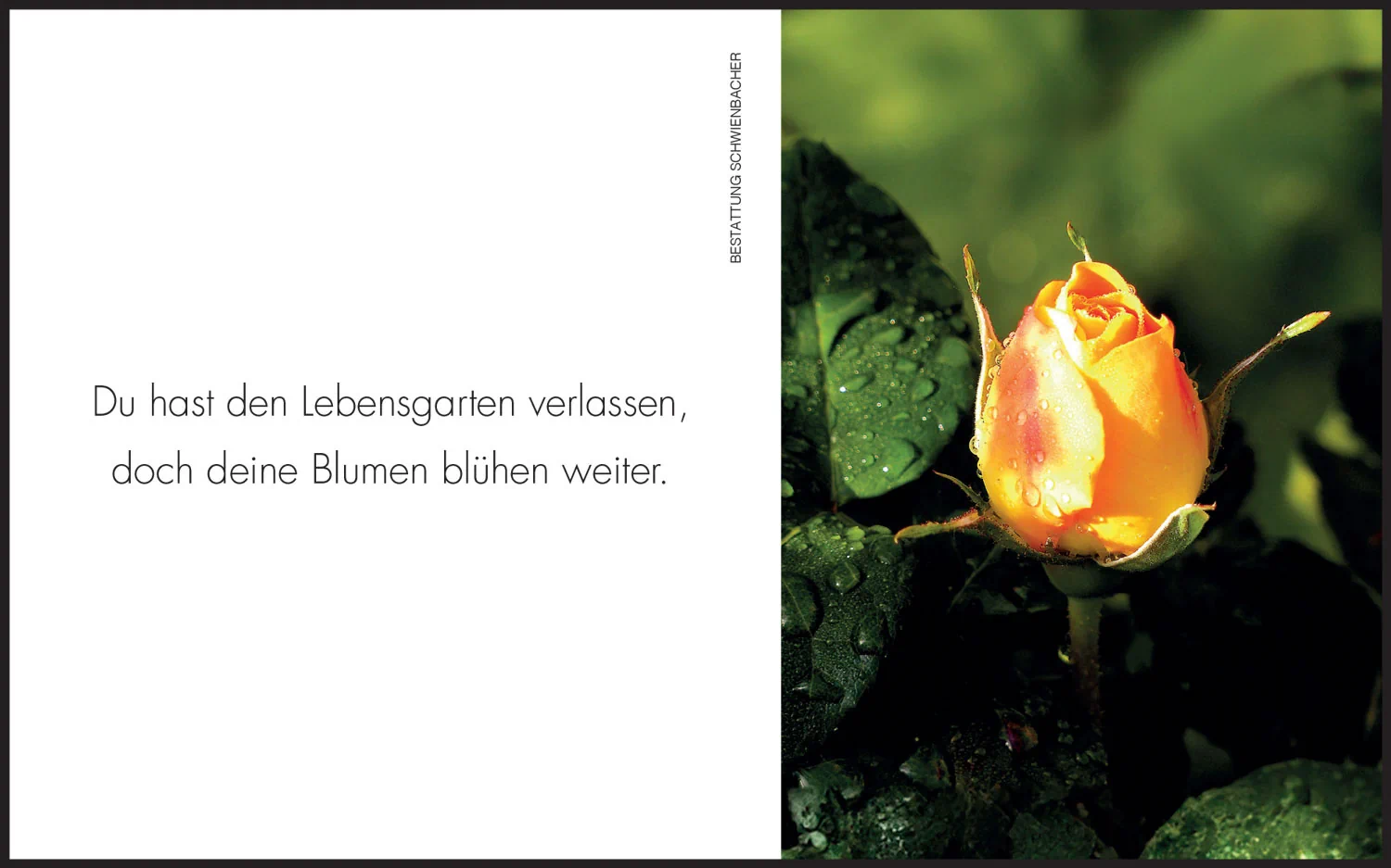 Sterbebild: Friedrich Wolfgang Leitgeb