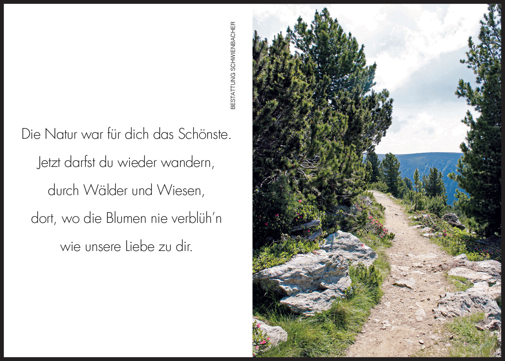 Sterbebild: Georg Josef Schwienbacher