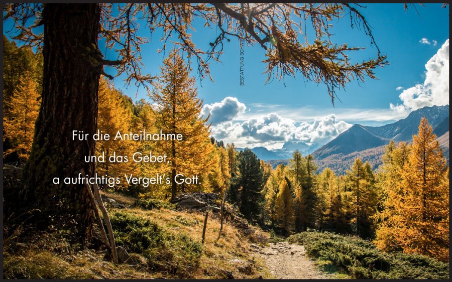 Sterbebild: Alois Pircher