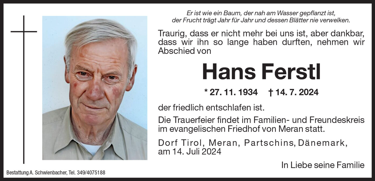 Medien: Hans Ferstl