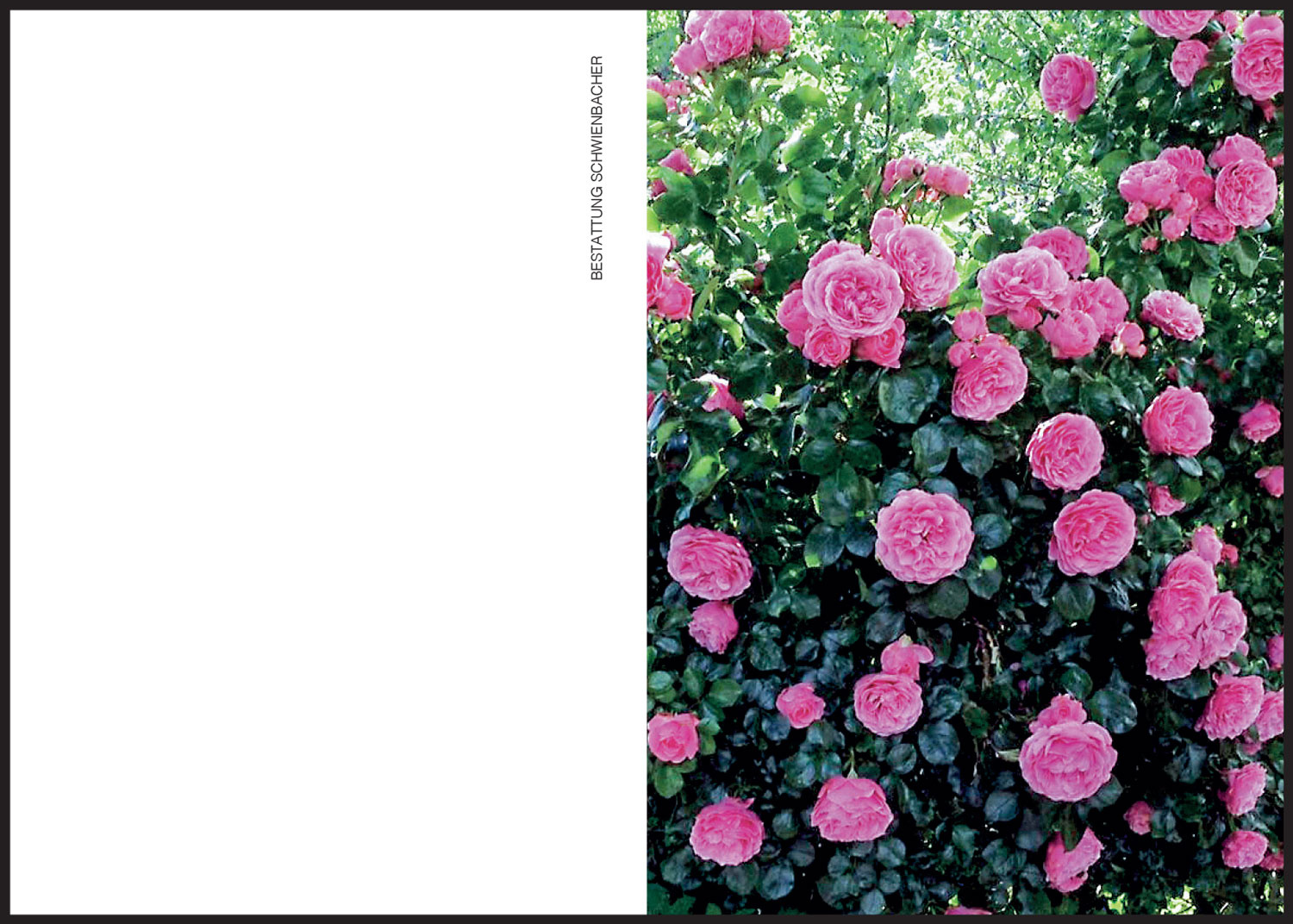 Sterbebild: Adelheid Wwe. Aschbacher geb. Fellner