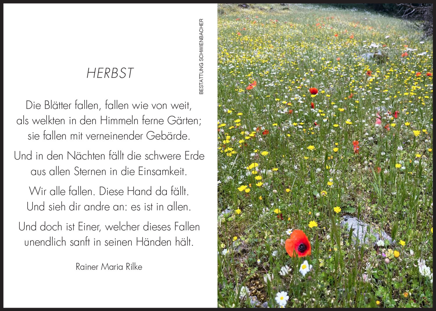 Sterbebild: Olga Mairhofer