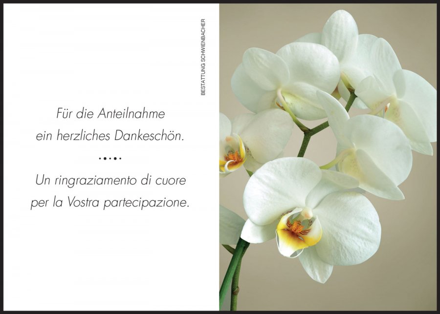 Sterbebild: Lucia Agostinetto geb. Schwarz