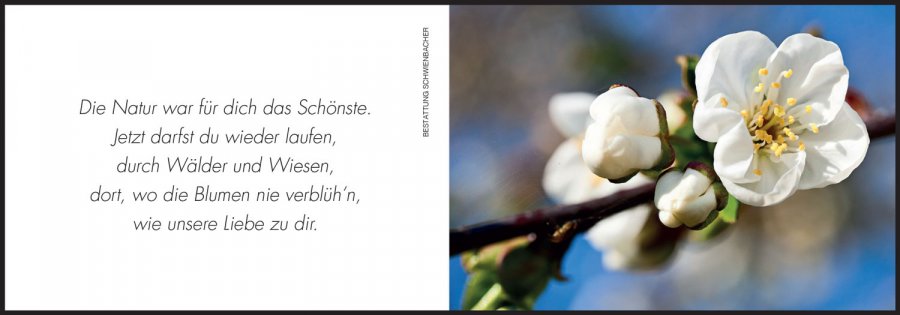 Sterbebild: Bruno Giovannini