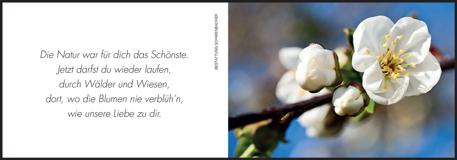 Sterbebild: Bruno Giovannini