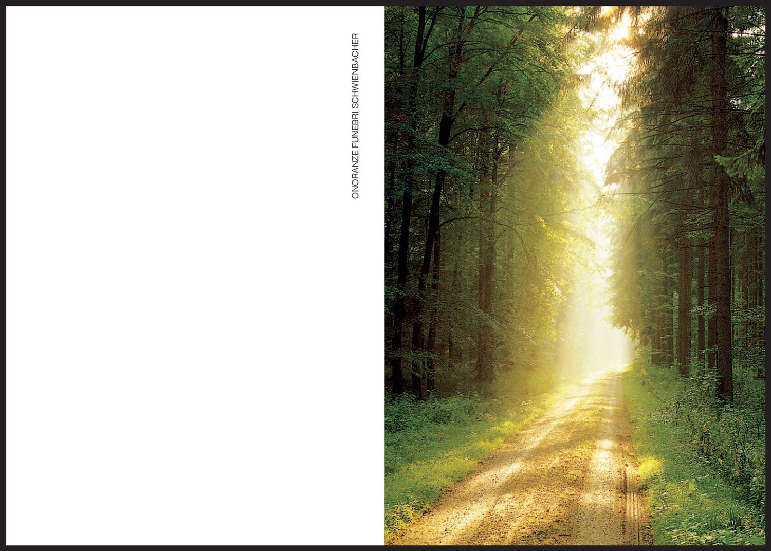 Sterbebild: Aulo Mellarini