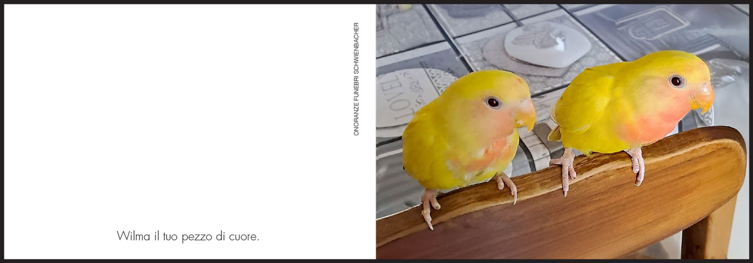 Sterbebild: Graziella ved. Boscarato nata Corti