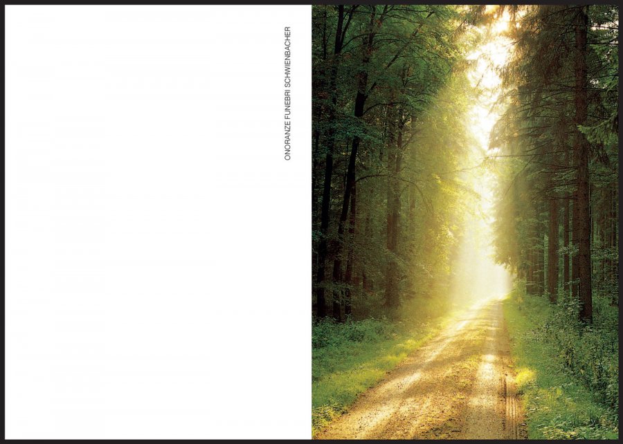 Sterbebild: Uberto Ercolani