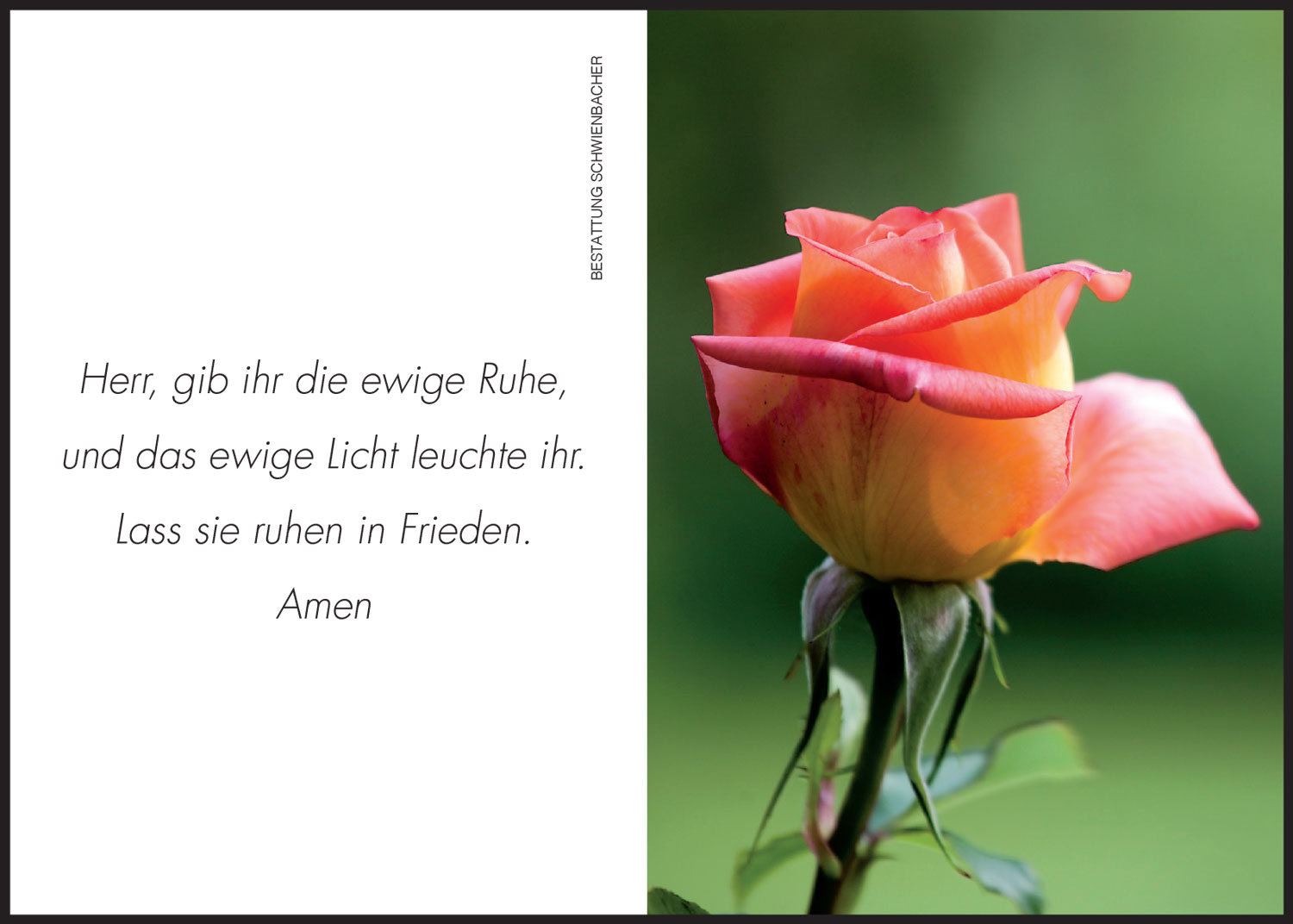 Sterbebild: Hilde Wwe. Zöschg geb. Baur