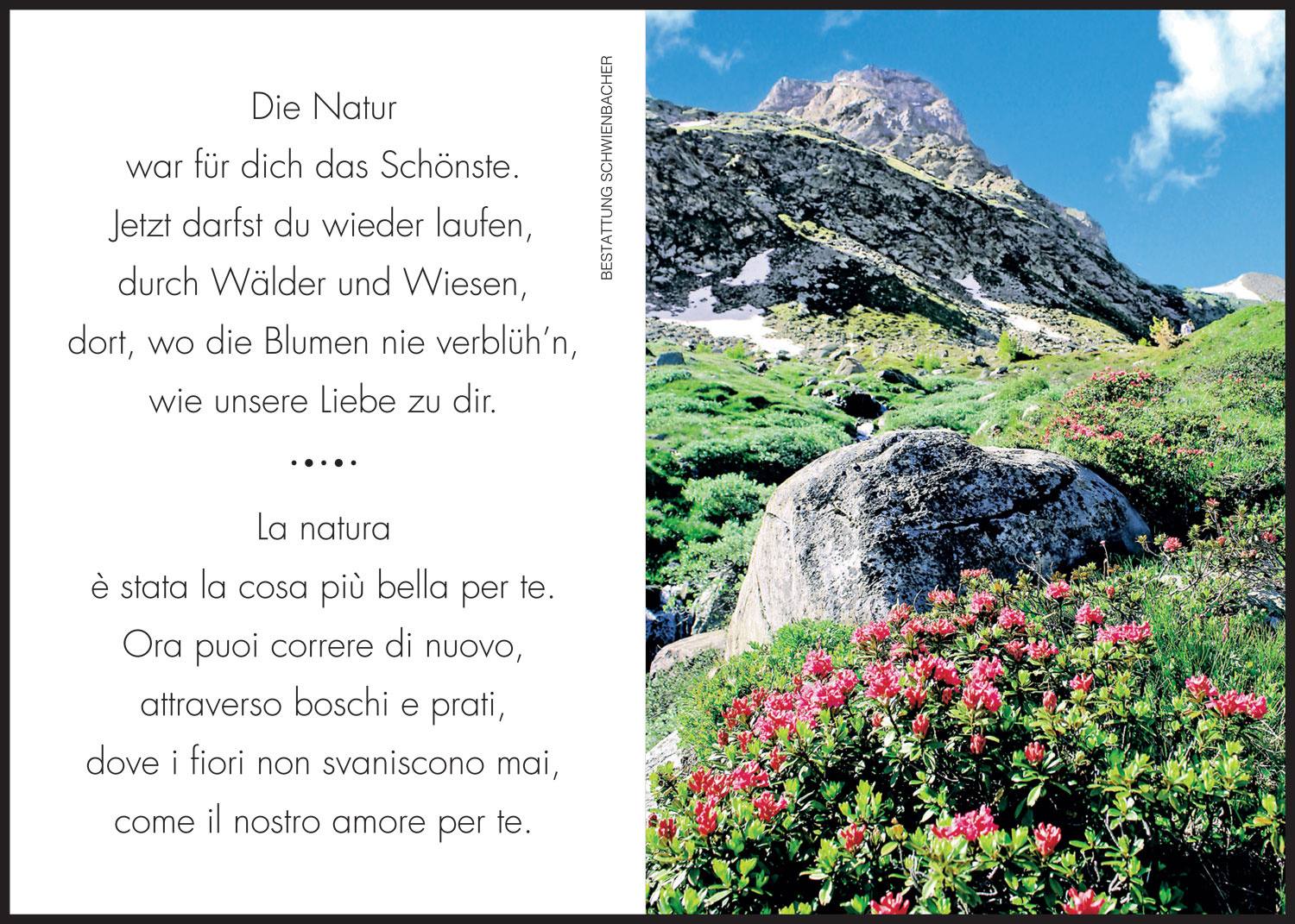 Sterbebild: Bruno Martini