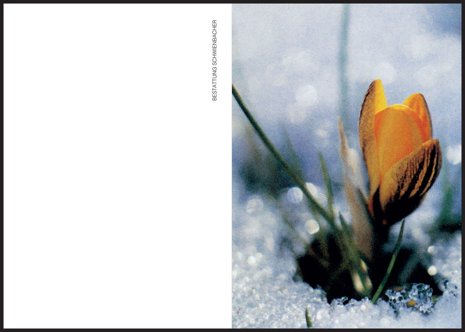 Sterbebild: Eva Wwe. Blum geb. Mariner