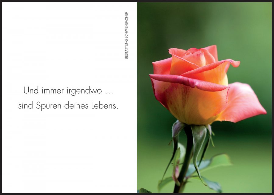 Sterbebild: Regina Fischer geb. Schwarz