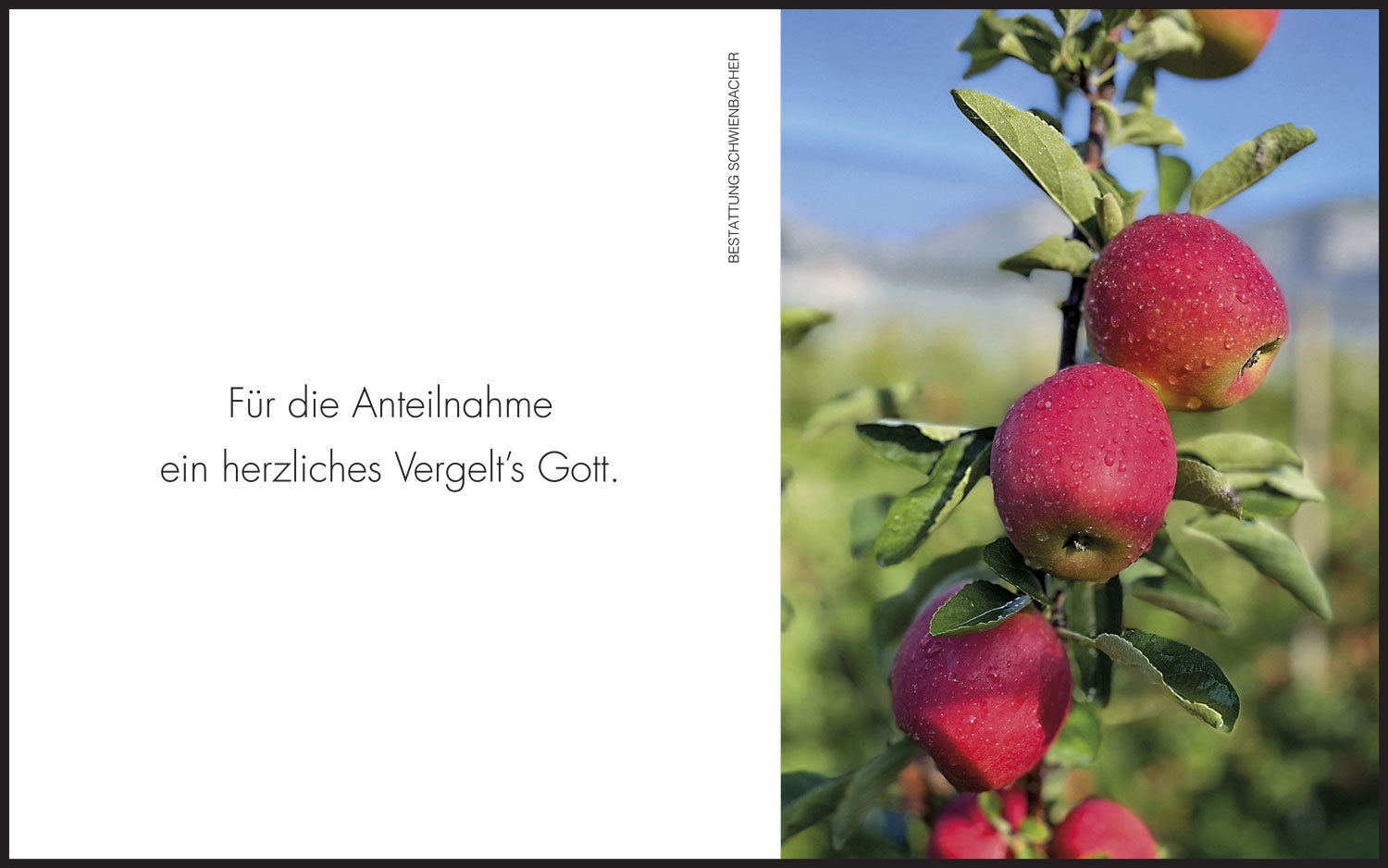 Sterbebild: Hugo Bertoldi