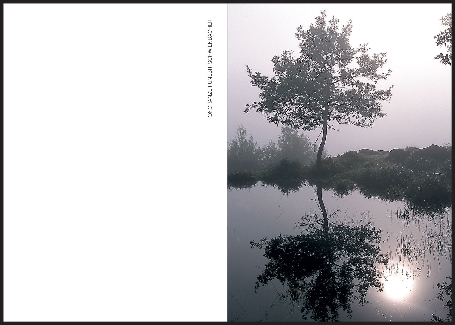 Sterbebild: Cecilia Dal Molin Wwe. Perin