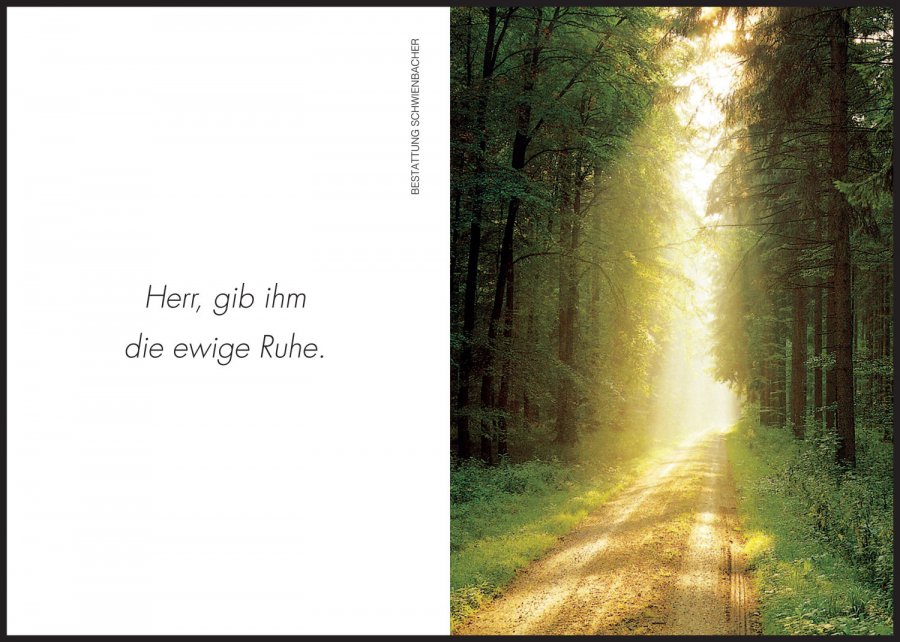 Sterbebild: Michael Gufler