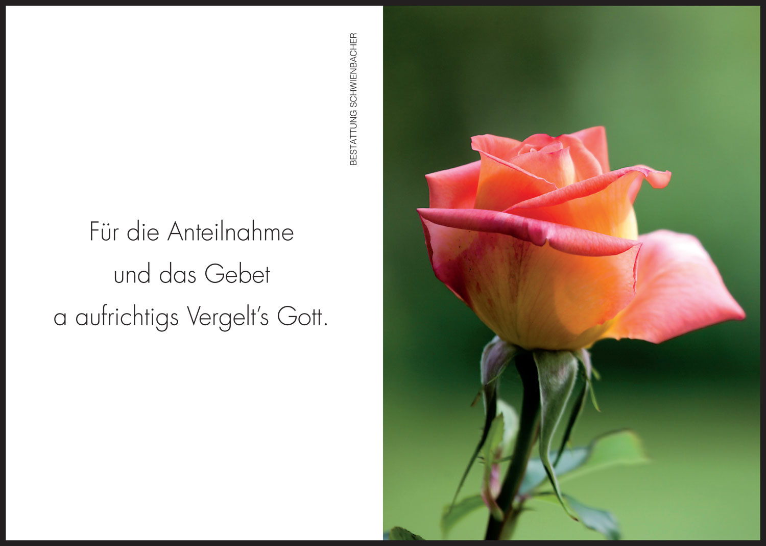 Sterbebild: Annerose Wwe. Sulzer geb. Tillig